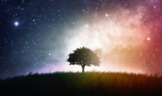 盡心·知性·知命